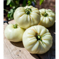 Білий гігант