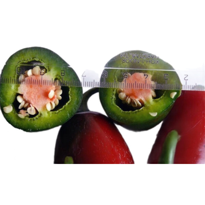 Фото Семена перца 1851 F1, №1