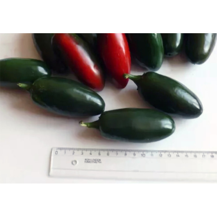 Фото Семена перца 1851 F1, №2