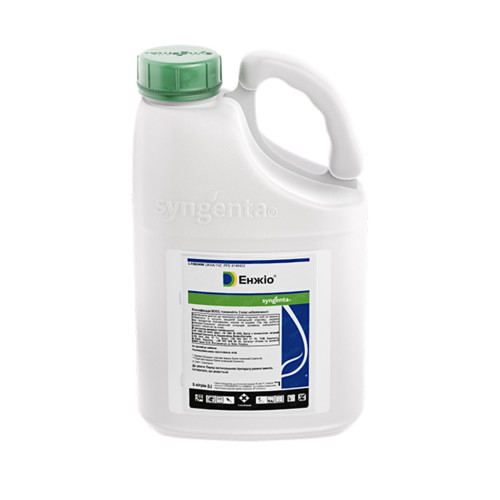 Жағажайдағы жыныстық қатынас жұптың күнделікті қозғалысы Әуесқойлық жеке секс