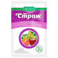 Страж