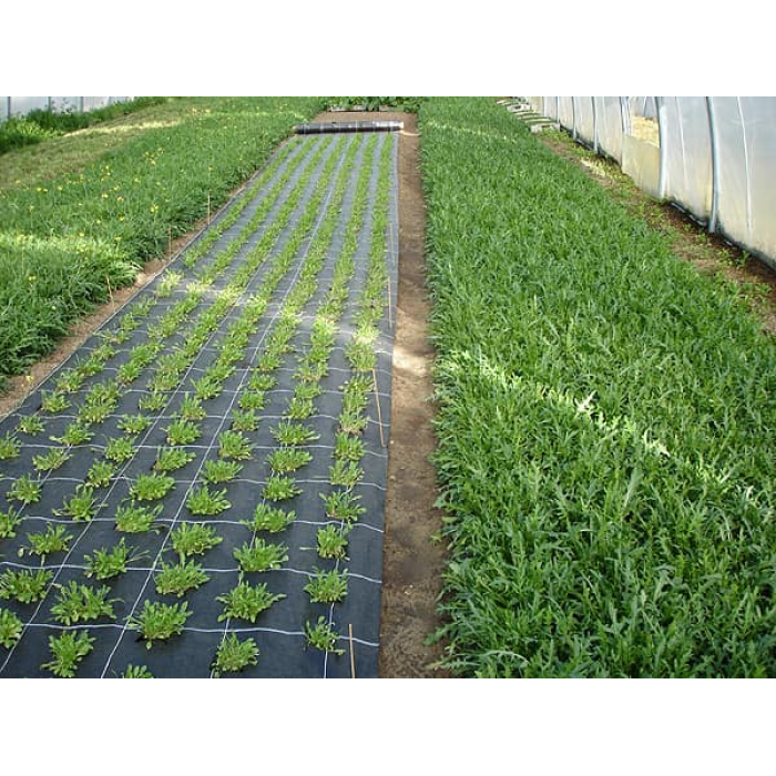 Фото Агроткань 85 г/м²,ширина 3,2 м, №3