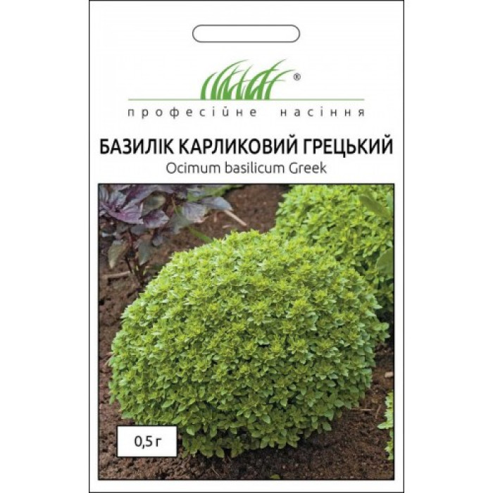 Фото Семена базилика Декоративный Грецкий, №1