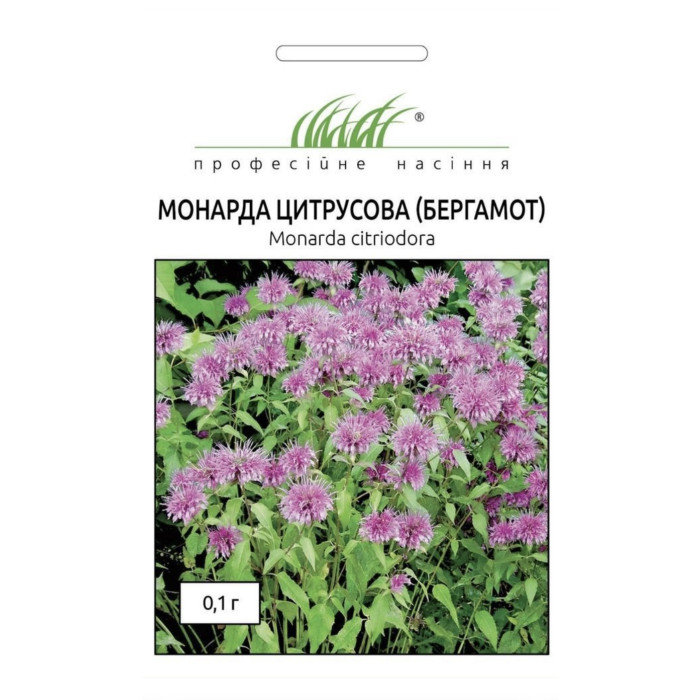 Фото Насіння Монарди (Бергамота), №1