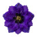 Дельфініум Меджик Фаунтс Дарк Блю Дарк Бі (Magic Fountains Dark Blue with Dark Bee)