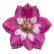 Дельфініум Меджик Фаунтс Лілак Пінк Вайт Бі (Magic Fountains Lilac Pink with White Bee)