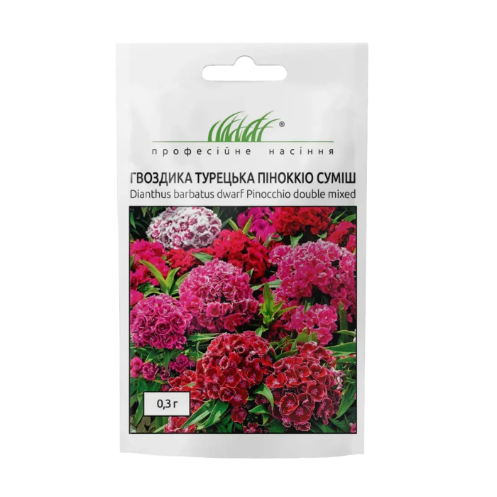 Фото Гвоздика турецька Піноккіо Суміш, №1