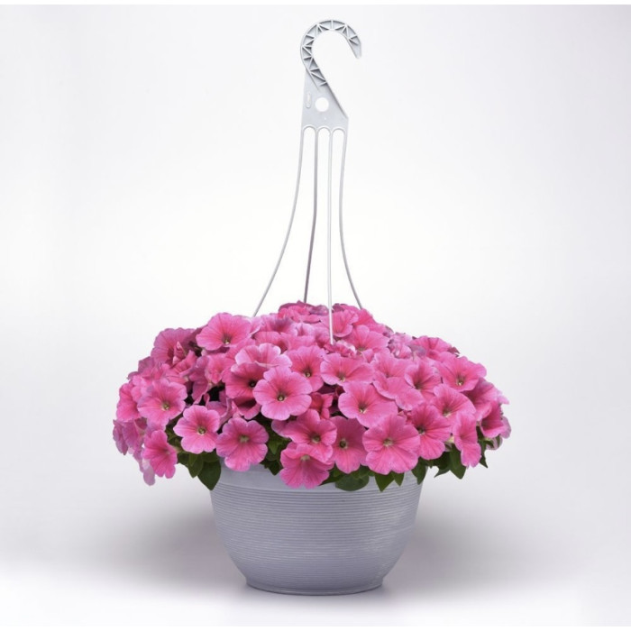 Фото Петуния Изи Вейв F1 Пинк Космо (Easy Wave F1 Pink Cosmo), №4