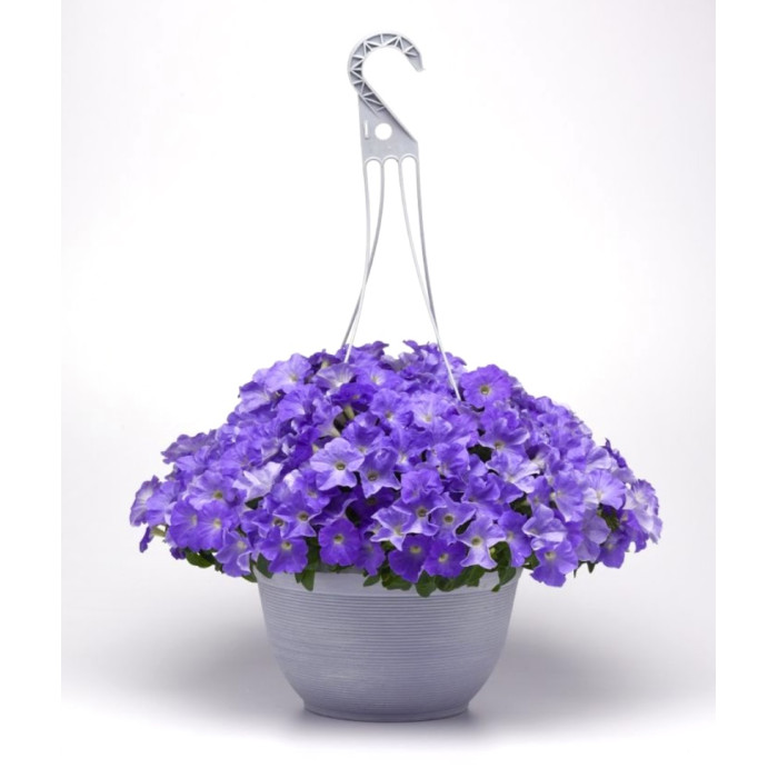 Фото Петуния Изи Вейв F1 Скай Блю (Easy Wave F1 Sky Blue), №4