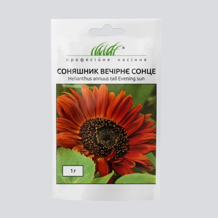 Фото Соняшник Вечірнє Сонце, №1