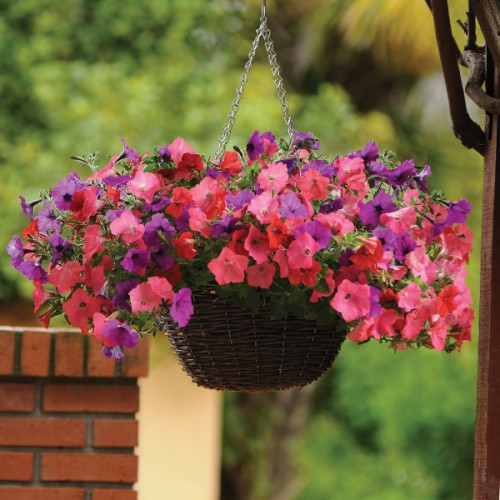 WE/（ウィー）11冊セット windows 11 pro oem - купити комп'ютери та комплектуючі - Ціна на