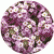Алісум Клеар Крістал Лавандер Шейдс (Clear Crystal Lavender Shades)