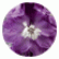 Дельфініум Екскалібур Лілак Роуз Вайт Бі (Excalibur Lilac Rose White Bee)