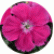 Гвоздика Коронет Роуз (Coronet Rose)