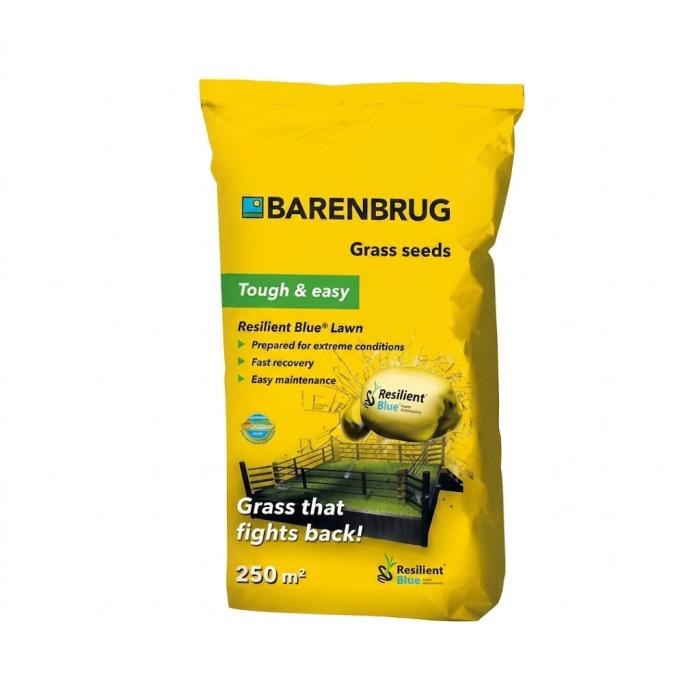 Фото Газонная трава Resilient Blue Lawn Barenbrug стойка к нагрузкам, №1