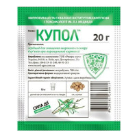 Купол