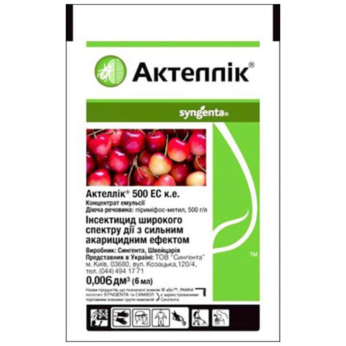 Ішінде спермы бар нәзік порно