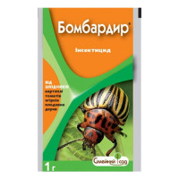 Бомбардир