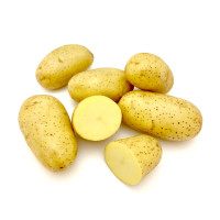 Джолін (1 репродукція)