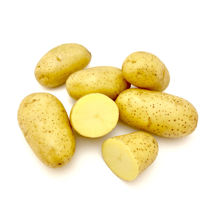 Джолин (1 репродукция)