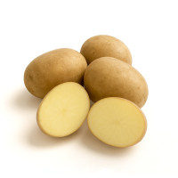 Соборная (Элита)