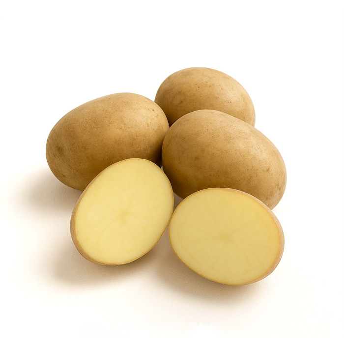 Соборная (Элита)