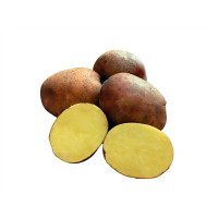 Соборная (Элита)