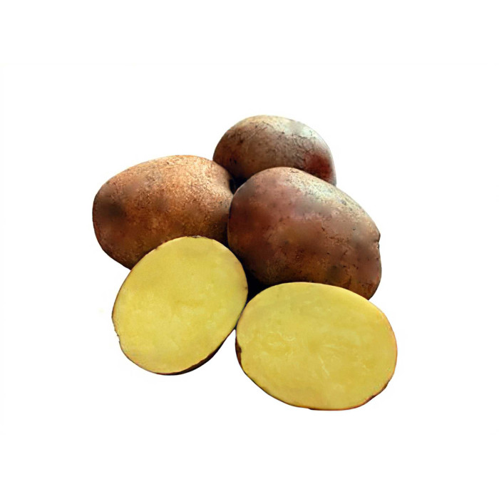 Соборная (Элита)