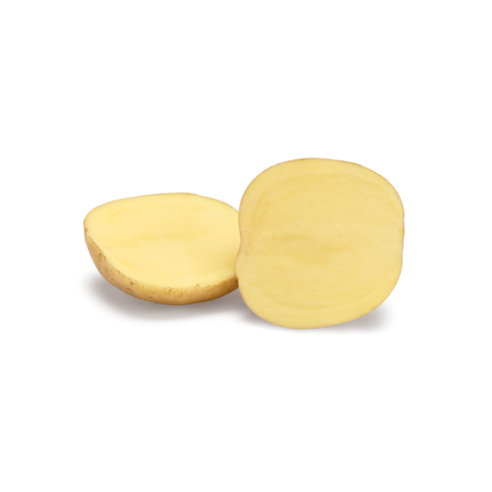 Фото Семенной картофель Твистер (1 репродукция), №1