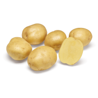 Твістер (1 репродукція)