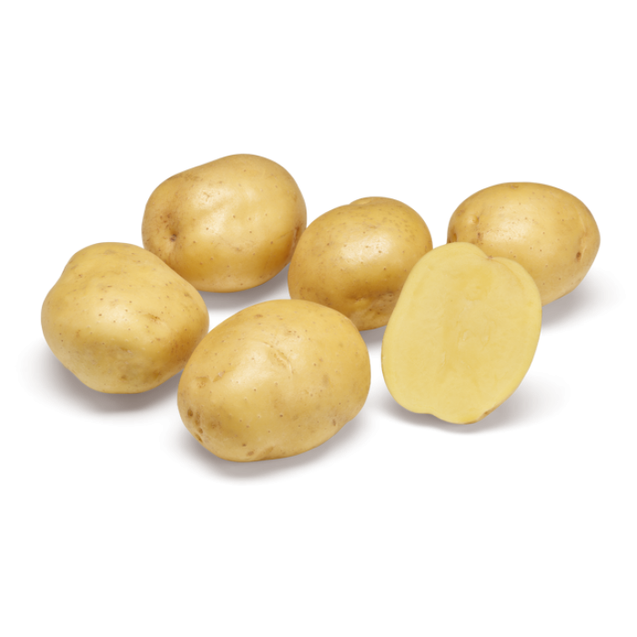 Фото Семенной картофель Твистер (1 репродукция)
