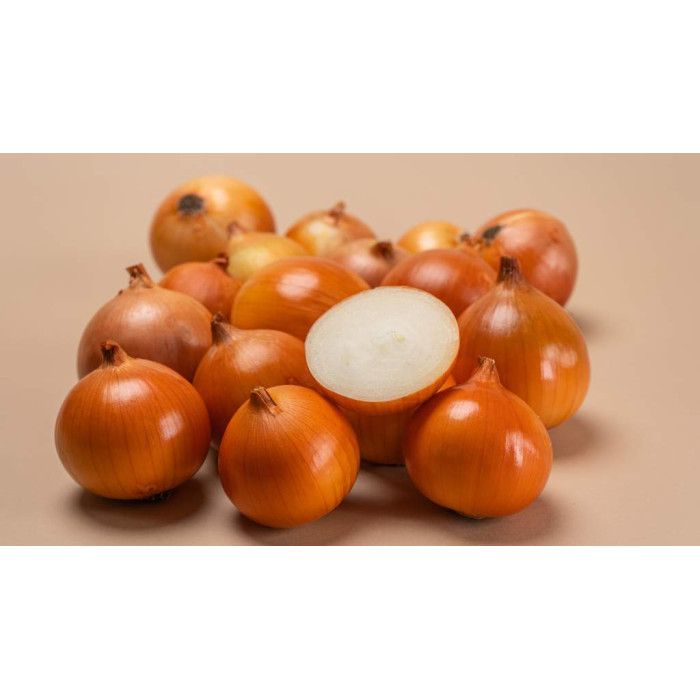 Фото Насіння цибулі Барусо F1/Baruso F1