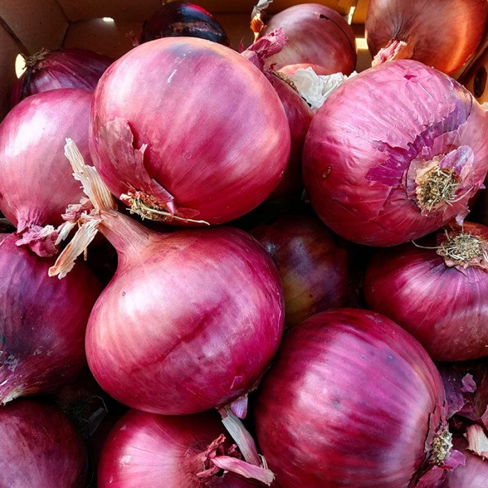 Дівіна Стар F1