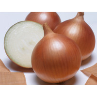 Сакраменто F1