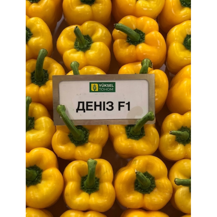 Фото Насіння перця Деніз F1/Deniz F1, №2