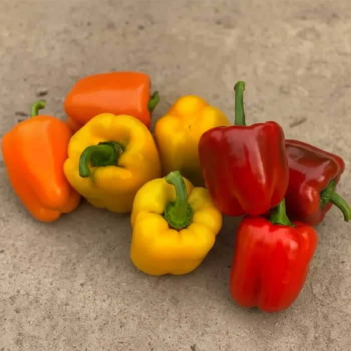 Фото Насіння перця Деніз F1/Deniz F1, №1