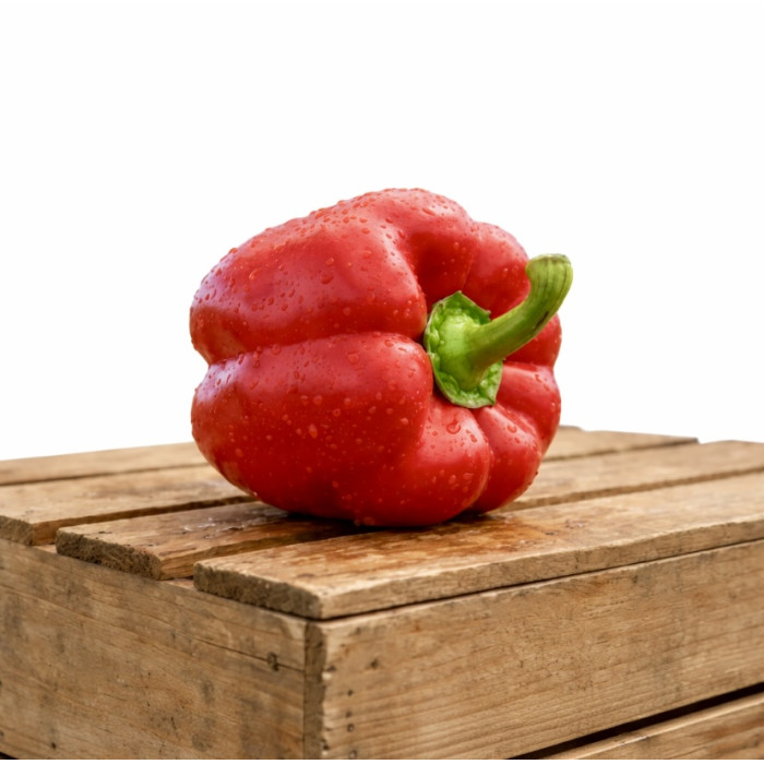 Фото Насіння перця Деніз F1/Deniz F1