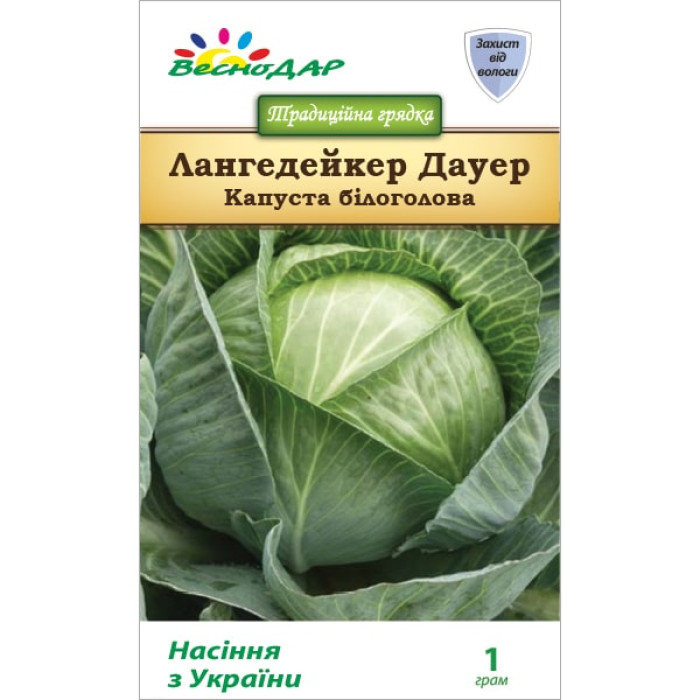Фото Насіння капусти білоголової Лангедейкер Дауер, №1