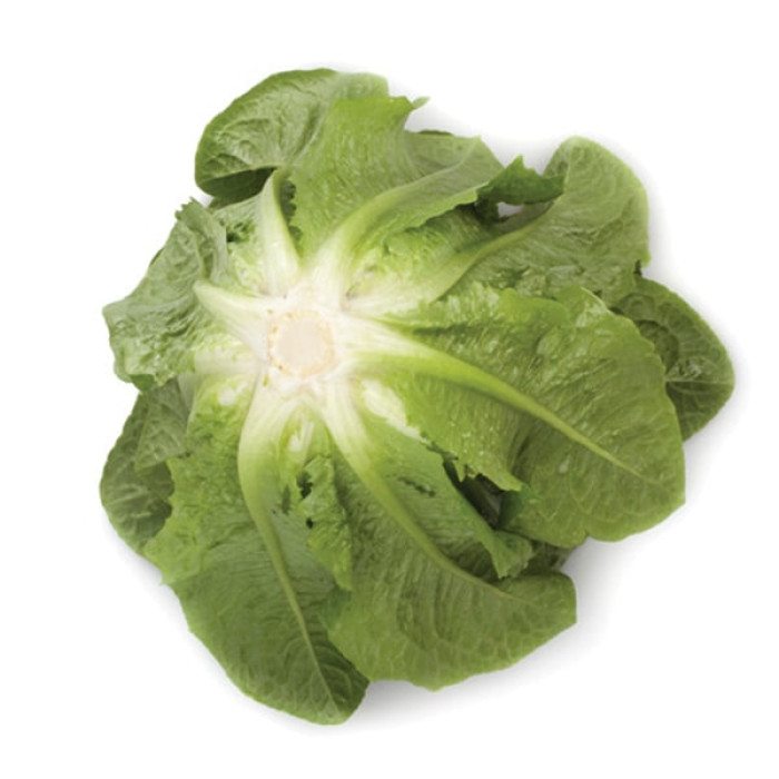 Фото Насіння листового салату (ромен) Айвона (Auvona), №2