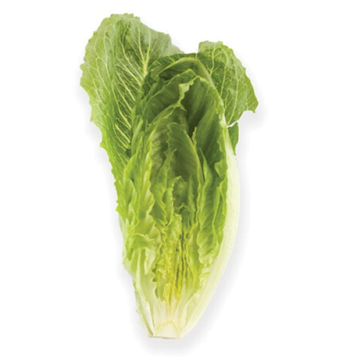Фото Насіння головчастого салату (ромен) Крунчіта F1 (Crunchita F1), №1
