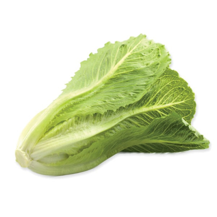 Фото Насіння головчастого салату (ромен) Крунчіта F1 (Crunchita F1), №2