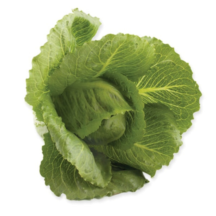 Фото Насіння головчастого салату (ромен) Крунчіта F1 (Crunchita F1), №3