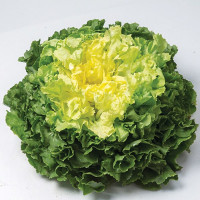 Парманс
