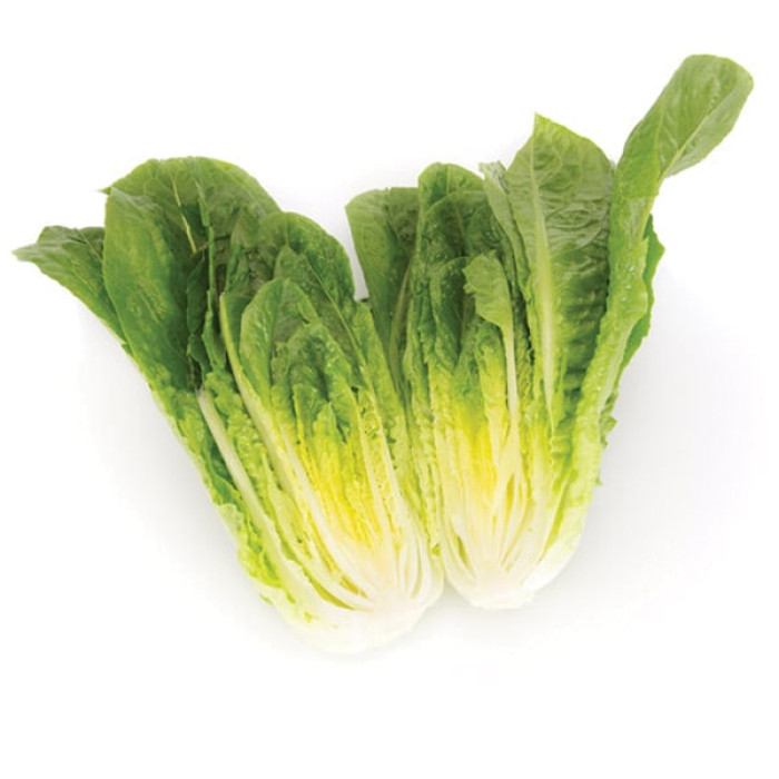 Фото Насіння напівголовчастого салату (ромен) Тукадонна (Tuccadona), №2
