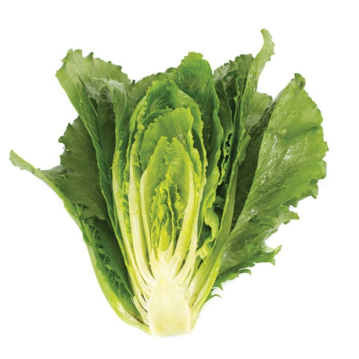 Фото Насіння напівголовчастого салату (ромен) Веродіта (Verodita), №1