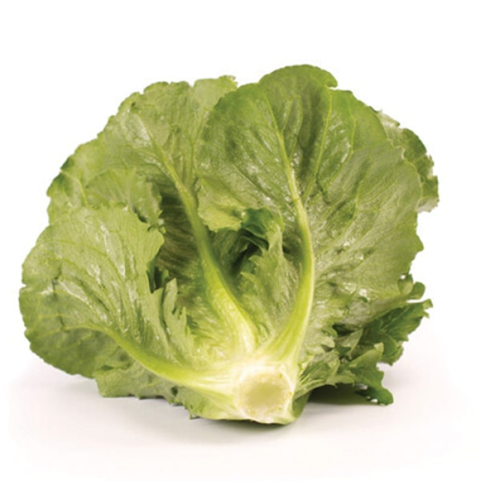 Фото Насіння напівголовчастого салату (ромен) Веродіта (Verodita), №2