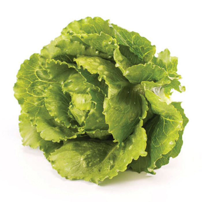 Фото Насіння напівголовчастого салату (ромен) Веродіта (Verodita)
