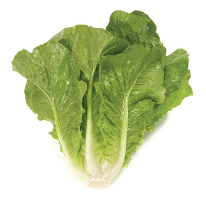 Фото Насіння напівголовчастого салату (ромен) Вікторінус (Victorinus), №2