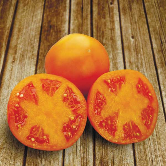 Фото Насіння томатів (помідор) KS 18 (Айсан) F1 (Ajsan F1)