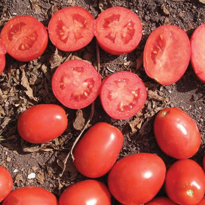 Фото Насіння томатів (помідор) Апгрейд F1 (Apgreyt F1), №2